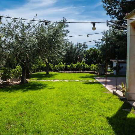 Signor Cesare Agrobistrot B&B 圣乔瓦尼·罗通多 外观 照片