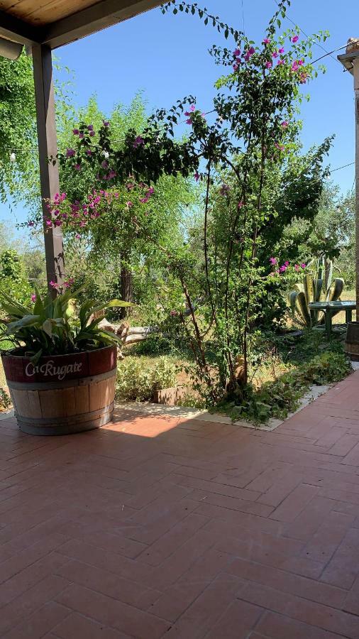 Signor Cesare Agrobistrot B&B 圣乔瓦尼·罗通多 外观 照片
